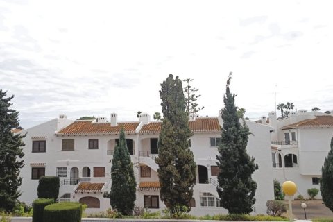 Tvåvåningslägenhet i Cabo Roig, Alicante, Spanien 4 sovrum, 100 kvm. Nr. 196343