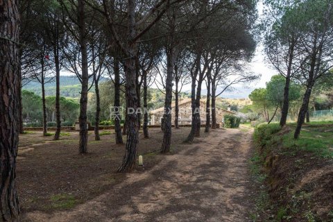 Villa in vendita a Sant Feliu de Guixols, Girona, Spagna 10 camere da letto, 844 mq. N° 176720 - foto 30