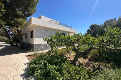 Villa in vendita a San Vicente del Raspeig, Alicante, Spagna 5 camere da letto, 358 mq. N° 166271 - foto 14