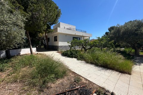 Villa in vendita a San Vicente del Raspeig, Alicante, Spagna 5 camere da letto, 358 mq. N° 166271 - foto 9