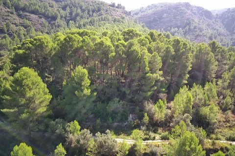 Land plot à vendre à Orba, Alicante, EspagneNo. 183906 - photo 7