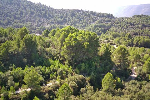 Land plot à vendre à Orba, Alicante, EspagneNo. 183906 - photo 3