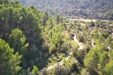 Land plot à vendre à Orba, Alicante, EspagneNo. 183906 - photo 6