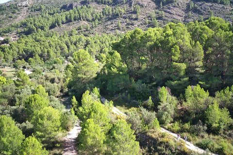 Land plot à vendre à Orba, Alicante, EspagneNo. 183906 - photo 8
