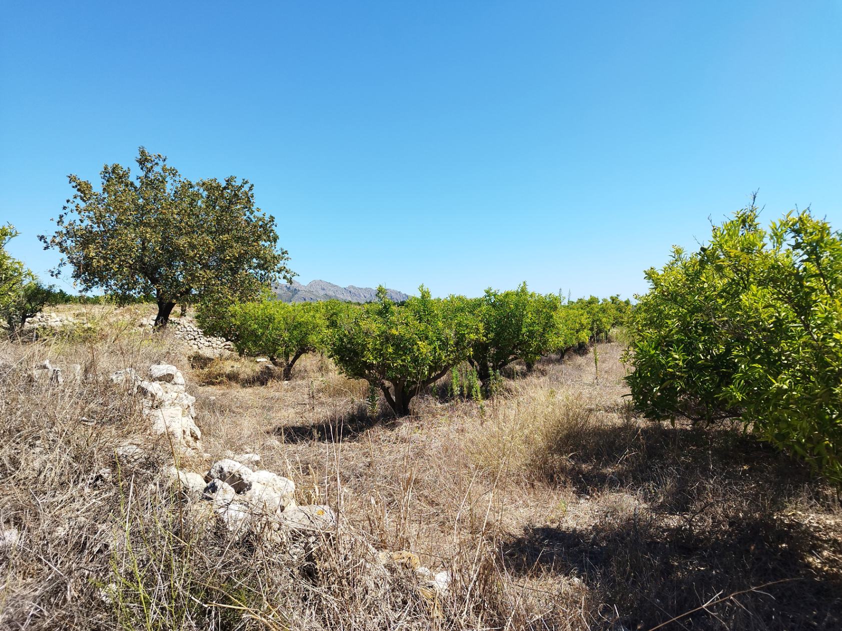 Zemes gabals Orba, Alicante, Spānijā Nr. 183909