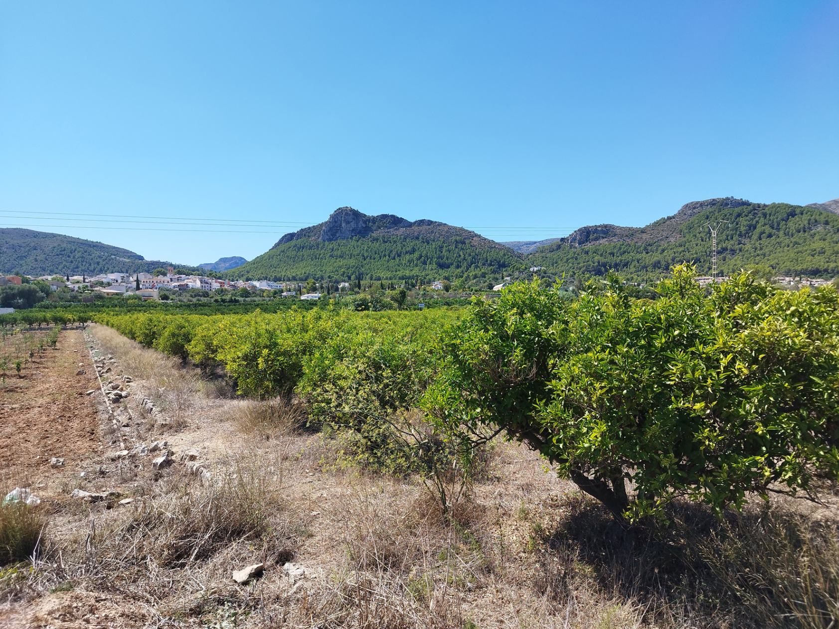 Zemes gabals Orba, Alicante, Spānijā Nr. 183909