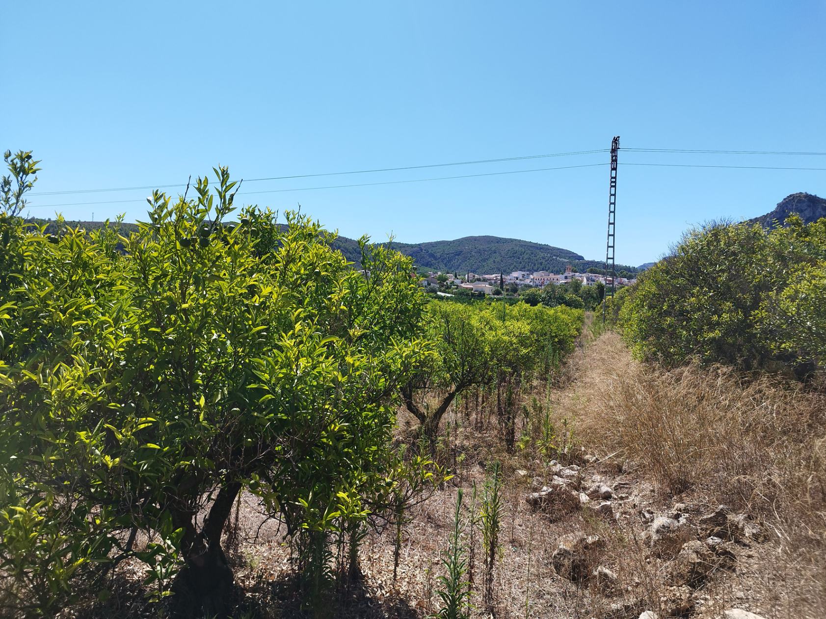 Zemes gabals Orba, Alicante, Spānijā Nr. 183909