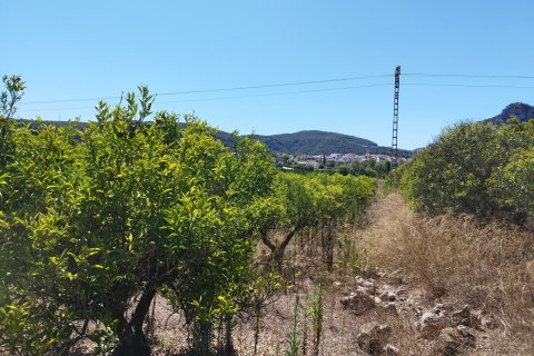 Działka w Orba, Alicante, Hiszpania nr 183909 – zdjęcie 9
