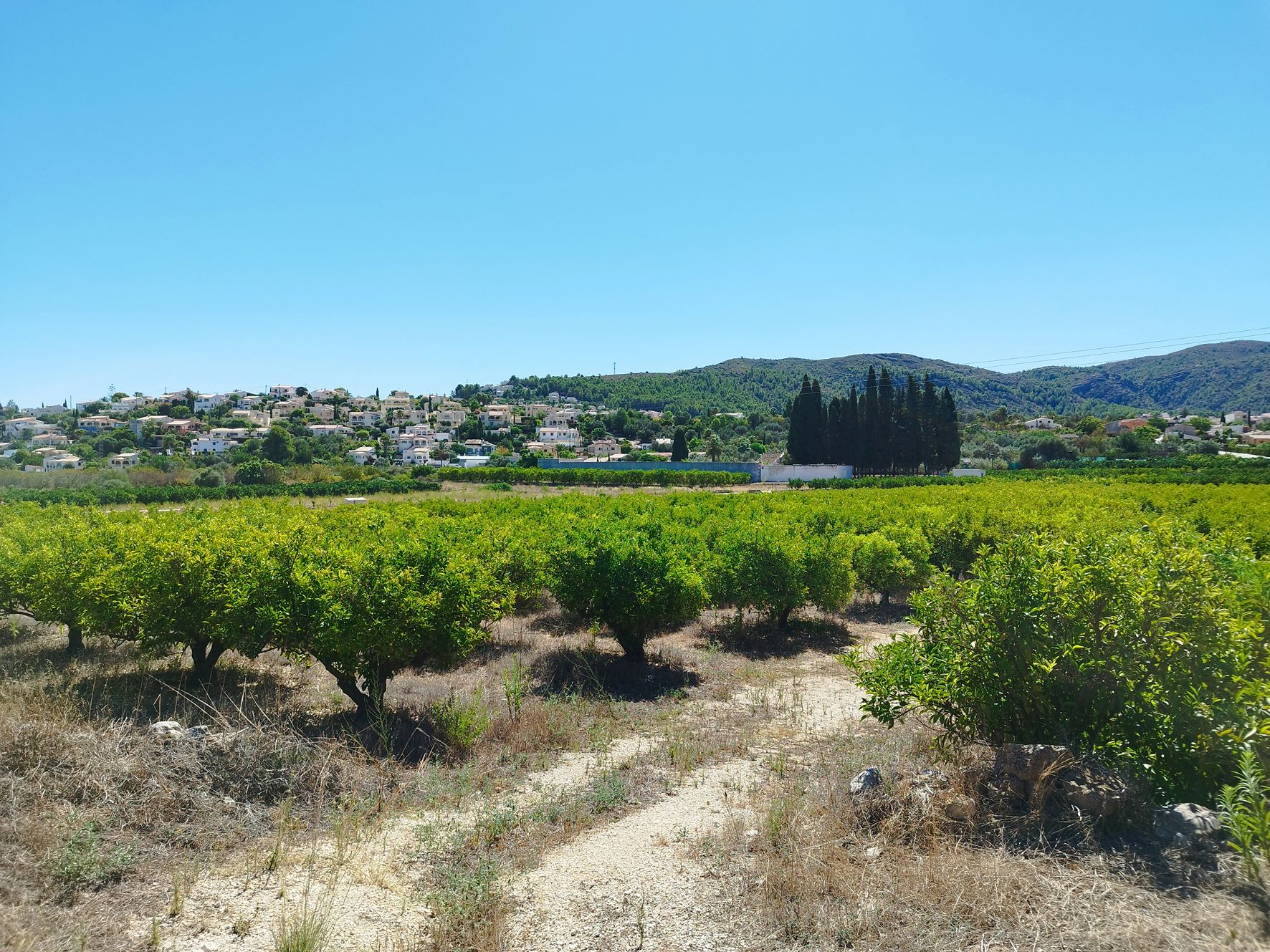 Zemes gabals Orba, Alicante, Spānijā Nr. 183909