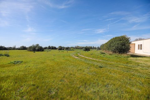 Villa till salu i Llucmajor, Mallorca, Spanien 5 sovrum, 475 kvm. Nr. 147861 - foto 9