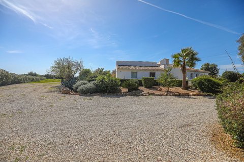 Villa till salu i Llucmajor, Mallorca, Spanien 5 sovrum, 475 kvm. Nr. 147861 - foto 25