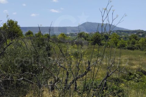 Tontti myytävänä Javea, Alicante, Espanja , 11258 m2 No. 158257 - kuva 4