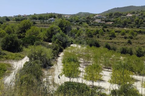 Tontti myytävänä Javea, Alicante, Espanja , 11258 m2 No. 158257 - kuva 5