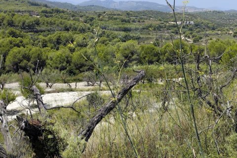 Tontti myytävänä Javea, Alicante, Espanja , 11258 m2 No. 158257 - kuva 3
