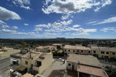 Villa à vendre Selva, Mallorca, Espagne, 4 chambres, 201 m2 No. 111884 - photo 3