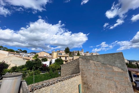 Villa à vendre Selva, Mallorca, Espagne, 4 chambres, 201 m2 No. 111884 - photo 4