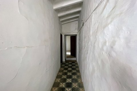 Villa à vendre Selva, Mallorca, Espagne, 4 chambres, 201 m2 No. 111884 - photo 19
