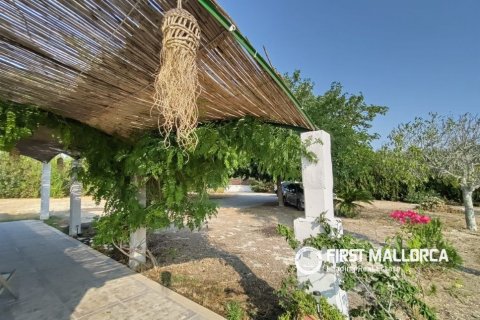 Finca zum Verkauf in Lloret De Vistalegre, Mallorca, Spanien 3 Schlafzimmer, 130 m2 Nr. 190537 - Foto 15