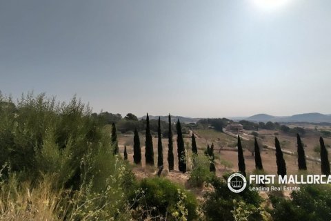 Finca zum Verkauf in Lloret De Vistalegre, Mallorca, Spanien 3 Schlafzimmer, 130 m2 Nr. 190537 - Foto 20