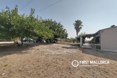 Finca zum Verkauf in Lloret De Vistalegre, Mallorca, Spanien 3 Schlafzimmer, 130 m2 Nr. 190537 - Foto 16
