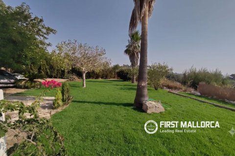 Finca zum Verkauf in Lloret De Vistalegre, Mallorca, Spanien 3 Schlafzimmer, 130 m2 Nr. 190537 - Foto 6