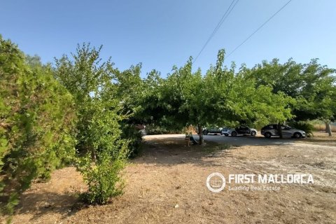 Finca zum Verkauf in Lloret De Vistalegre, Mallorca, Spanien 3 Schlafzimmer, 130 m2 Nr. 190537 - Foto 19