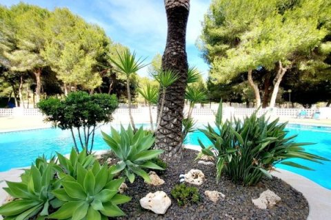 Huoneisto myytävänä Dehesa De Campoamor, Alicante, Espanja, 3 makuuhuonetta, 108 m2 No. 145339 - kuva 5