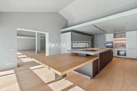 Penthouse for sale in Principado De Andorra (Ninguna Poblacion Tiene C.P.), Lleida, Spain 4 bedrooms, 318 sq.m. No. 156677 - photo 10