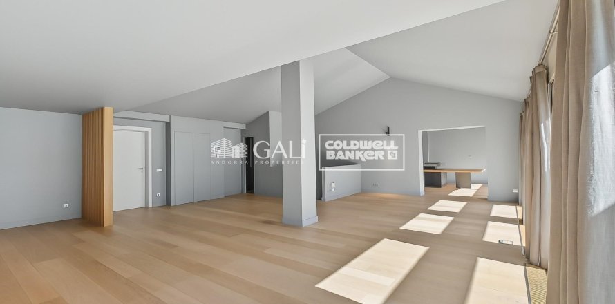 Penthauss Principado De Andorra (Ninguna Poblacion Tiene C.P.), Lleida, Spānijā 3 istabas, 318 m2 Nr. 156677