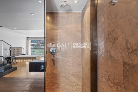 Penthouse for sale in Principado De Andorra (Ninguna Poblacion Tiene C.P.), Lleida, Spain 4 bedrooms, 318 sq.m. No. 156677 - photo 29