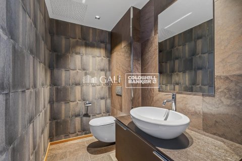 Penthouse for sale in Principado De Andorra (Ninguna Poblacion Tiene C.P.), Lleida, Spain 4 bedrooms, 318 sq.m. No. 156677 - photo 11