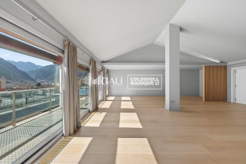 Penthouse for sale in Principado De Andorra (Ninguna Poblacion Tiene C.P.), Lleida, Spain 4 bedrooms, 318 sq.m. No. 156677 - photo 3