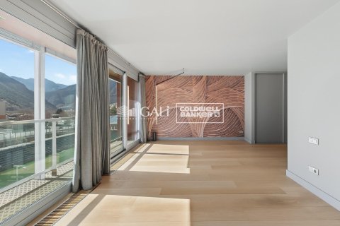 Penthouse for sale in Principado De Andorra (Ninguna Poblacion Tiene C.P.), Lleida, Spain 4 bedrooms, 318 sq.m. No. 156677 - photo 20