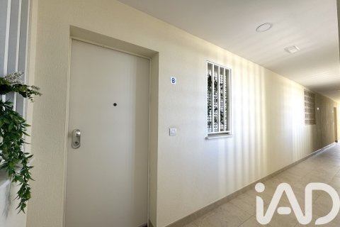 Apartament w Oliva, Valencia, Hiszpania 2 sypialnie, 93 mkw. nr 172721 – zdjęcie 25