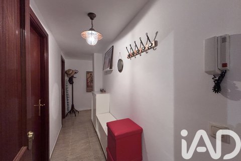 Apartament w Castello d'Empuries, Girona, Hiszpania 2 sypialnie, 78 mkw. nr 172720 – zdjęcie 4