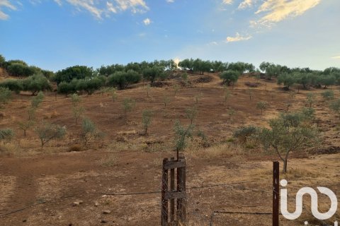 Hus till salu i Hornachuelos, Cordoba, Spanien 4 sovrum, 118 kvm. Nr. 173302 - foto 9