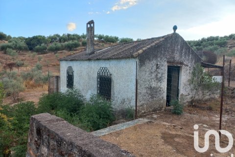 Hus till salu i Hornachuelos, Cordoba, Spanien 4 sovrum, 118 kvm. Nr. 173302 - foto 30
