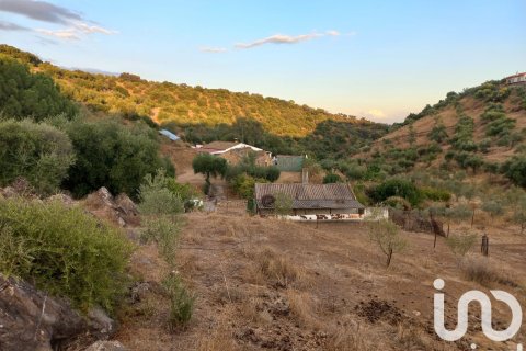 Hus till salu i Hornachuelos, Cordoba, Spanien 4 sovrum, 118 kvm. Nr. 173302 - foto 21