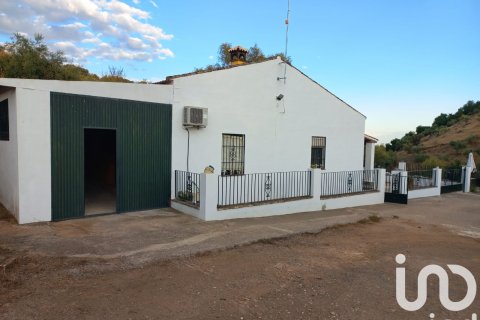 Hus till salu i Hornachuelos, Cordoba, Spanien 4 sovrum, 118 kvm. Nr. 173302 - foto 25