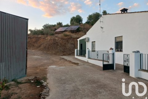 Hus till salu i Hornachuelos, Cordoba, Spanien 4 sovrum, 118 kvm. Nr. 173302 - foto 24