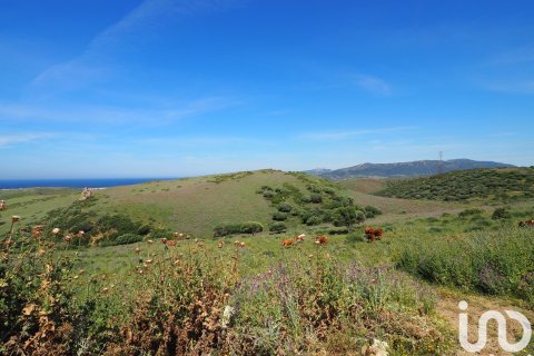 Commercial property for sale in Tarifa, Cadiz, Spain No. 153834 - photo 13