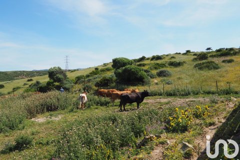 Commercial property for sale in Tarifa, Cadiz, Spain No. 153834 - photo 9