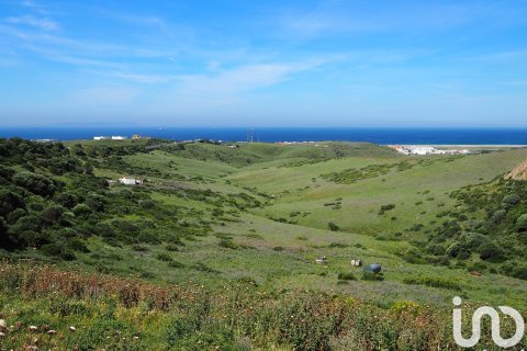 Commercial property for sale in Tarifa, Cadiz, Spain No. 153834 - photo 3