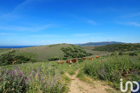 Commercial property for sale in Tarifa, Cadiz, Spain No. 153834 - photo 15