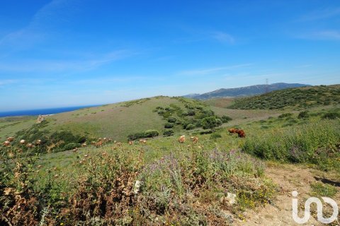 Commercial property for sale in Tarifa, Cadiz, Spain No. 153834 - photo 14