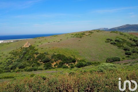 Commercial property for sale in Tarifa, Cadiz, Spain No. 153834 - photo 11