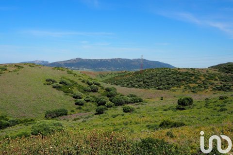 Commercial property for sale in Tarifa, Cadiz, Spain No. 153834 - photo 8