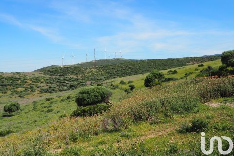 Commercial property for sale in Tarifa, Cadiz, Spain No. 153834 - photo 5