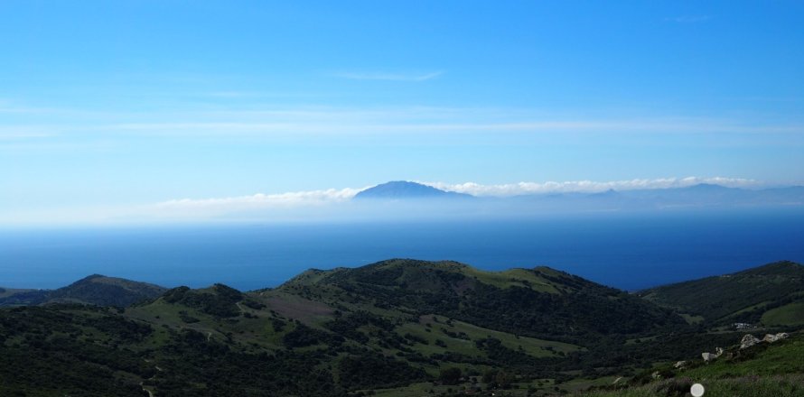 Commercial property in Tarifa, Cadiz, Spain No. 153834