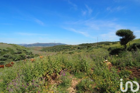 Commercial property for sale in Tarifa, Cadiz, Spain No. 153834 - photo 16